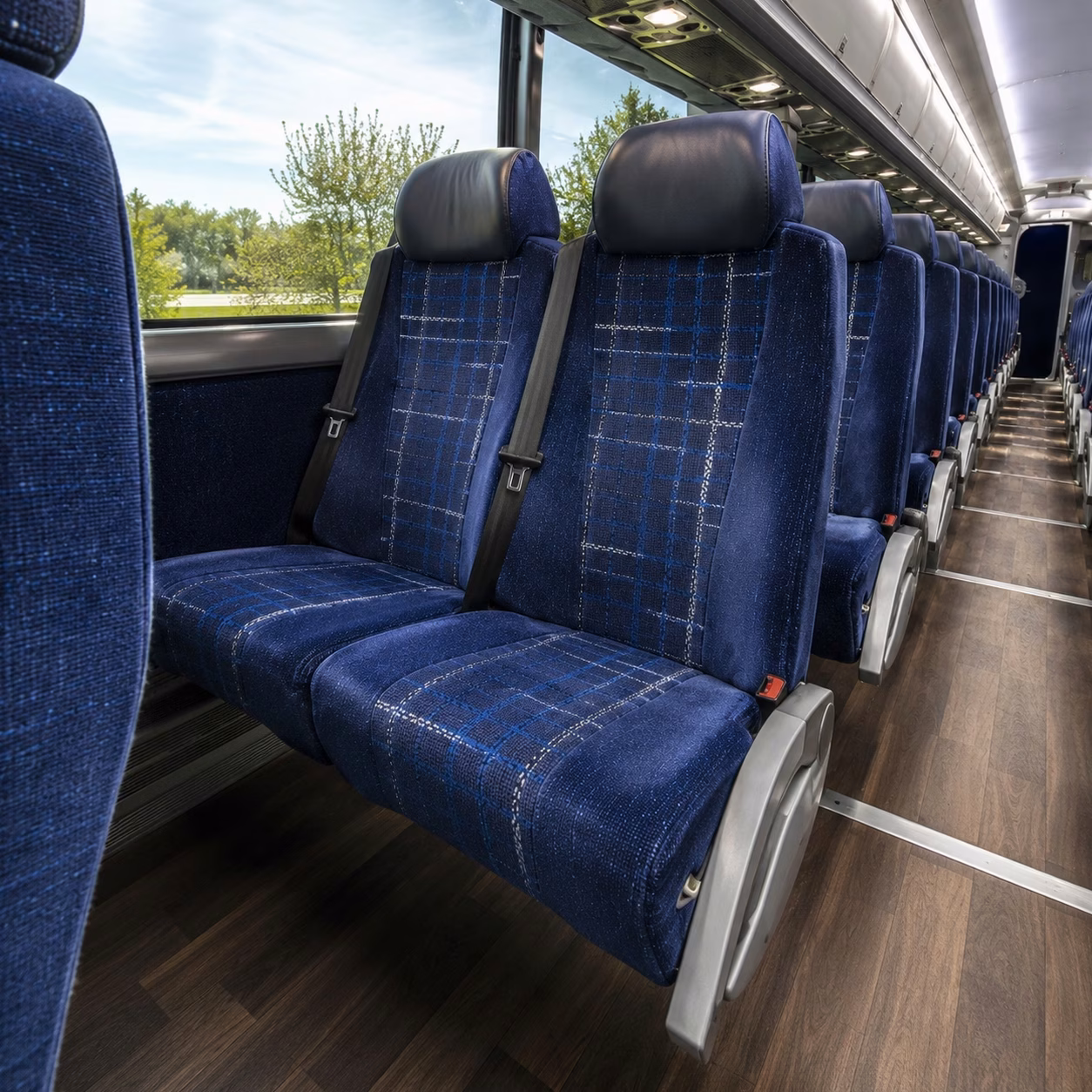 surprise charter bus rentals for science and nature field trips